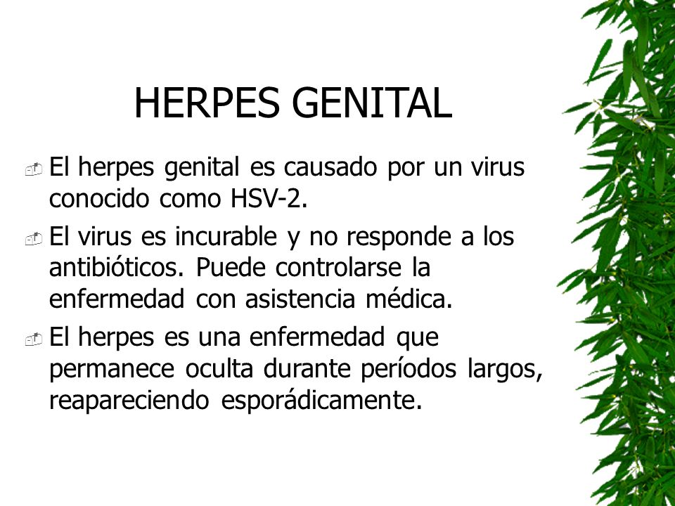 Decir a la muchacha que a mí el pequeño miembro